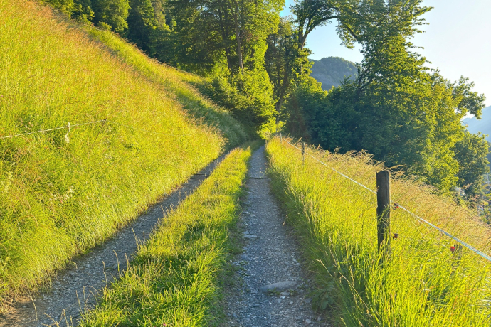 Trail- Route: Palfries Lanaberg