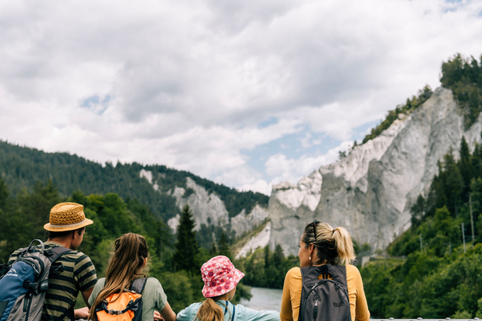 View into the Rhine Gorge