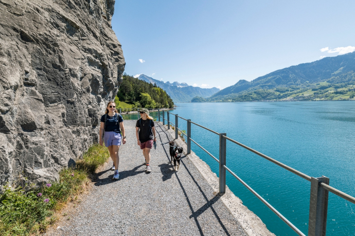 Wandern am Uferweg zwischen Quinten und Au