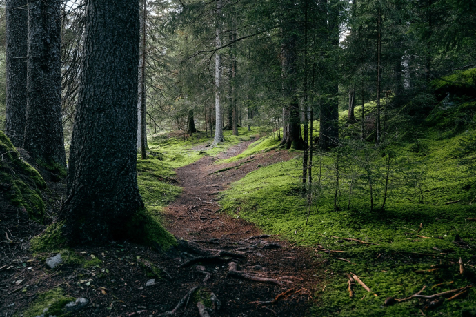 Innerferrera - Campsut - Avers