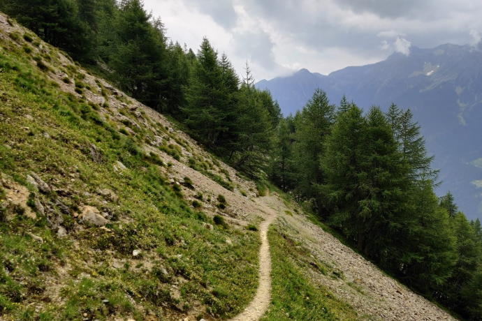 Sentiero Botanico Sassalbo