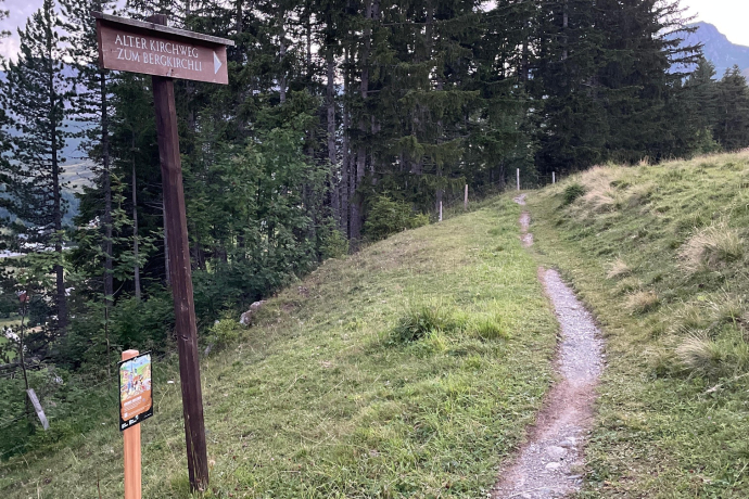 Treasure Station Caccia al tesoro in bicicletta dell'orso (nero)