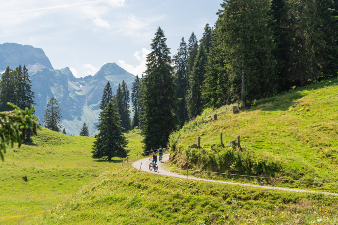 Wildmannli-Bike (oua_616198427_image)
