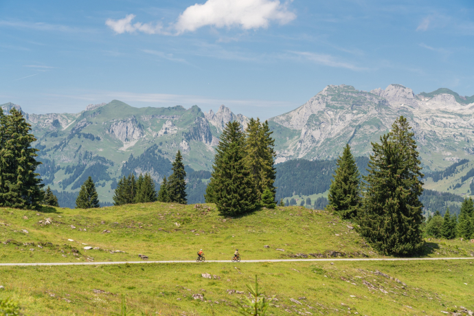 Wildmannli-Bike (oua_616198429_image)