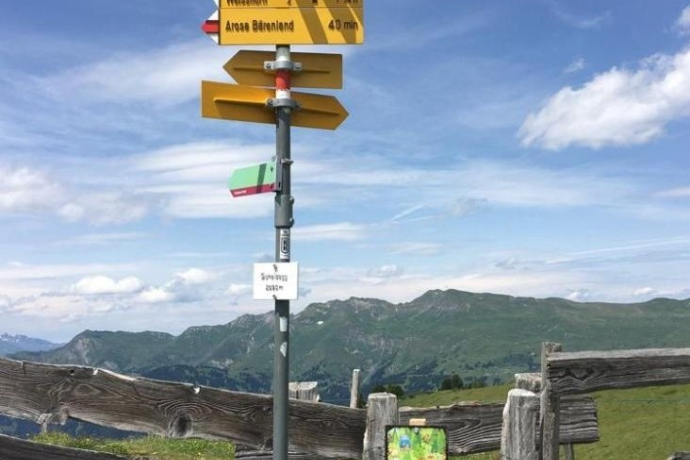 Treasure Station Scheidegg (Bear Bike Treasure Hunt)