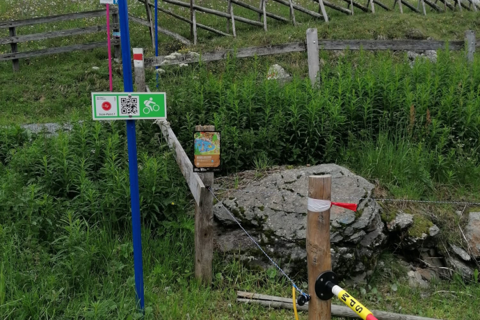 Stazione del tesoro, parte inferiore, Hörnli Trail (caccia al tesoro in bicicletta dell'orso, blu, rosso)