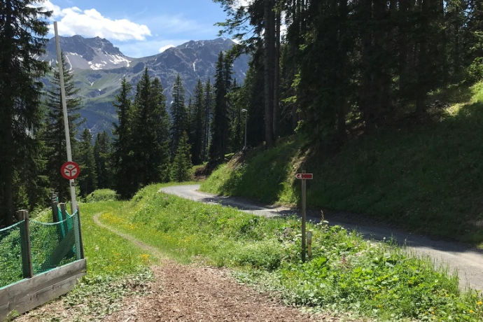 Pista da slittino della stazione del tesoro (caccia al tesoro in bicicletta dell'orso)