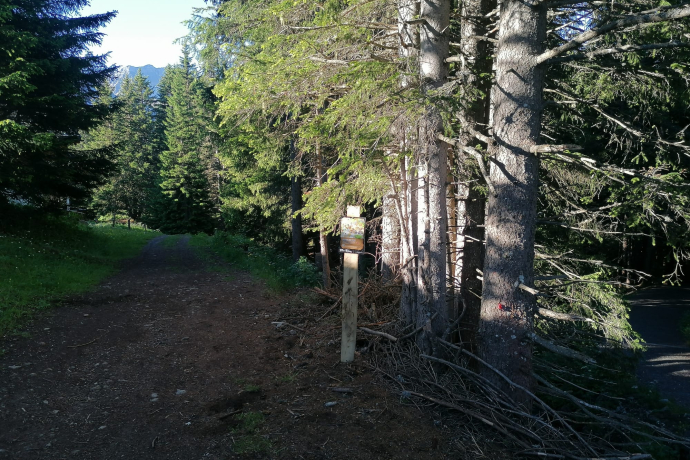 Treasure Station Home Ride (caccia al tesoro in bicicletta con l'orso)