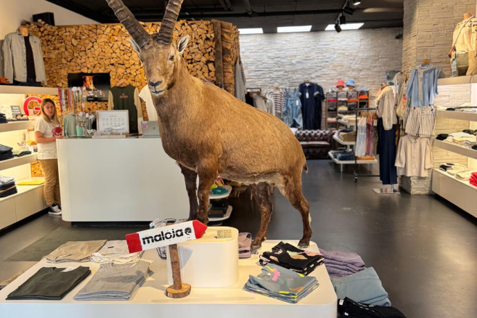 +gitti (oua_617197101_image)