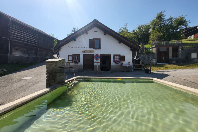 Stizunetta Luven aussen