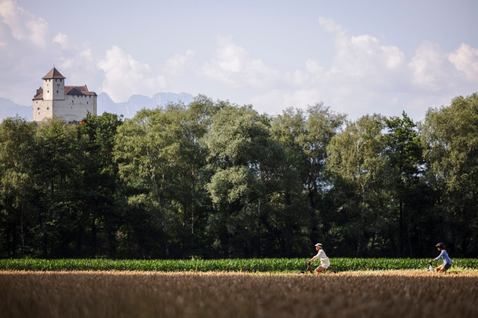 View of Gutenberg Castle in Balzers