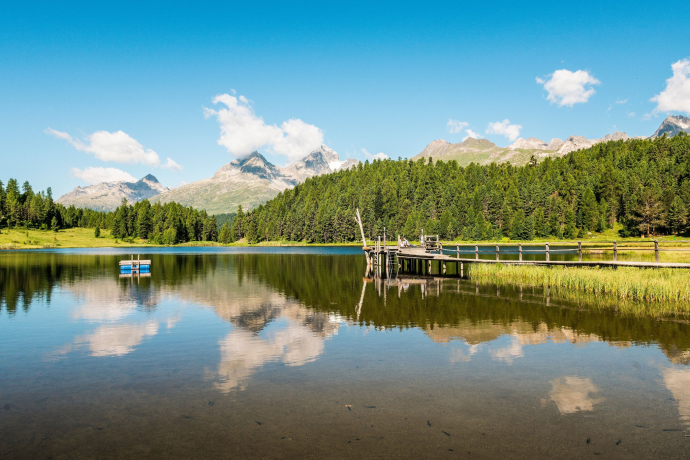 Kiosque Staz (oua_620271678_image)