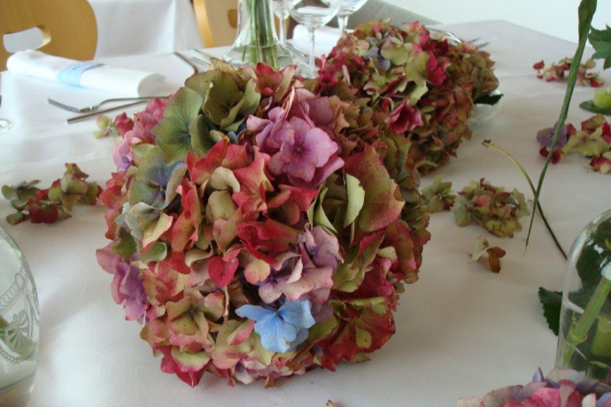 Blumen-Atelier BACCARA (oua_620277952_image)