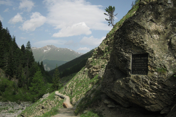 Lasta commemorativa Dott. Brunies Stefan (oua_620278981_image)