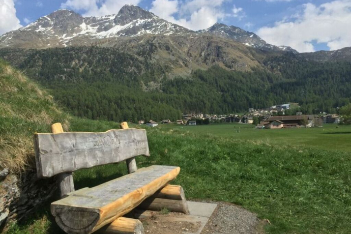 Banc du Lej Suot (oua_620279060_image)