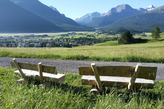 Panchine Survih (oua_620279130_image)