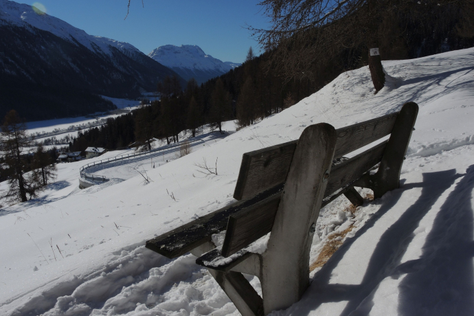 Arshaida Sura bench (oua_620279171_image)