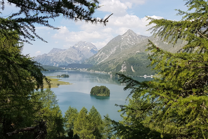 Bench at Bellavista fire pit (oua_620279184_image)