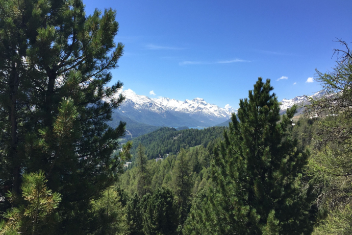 Sitzbänke Blais Glischa (oua_620279200_image)