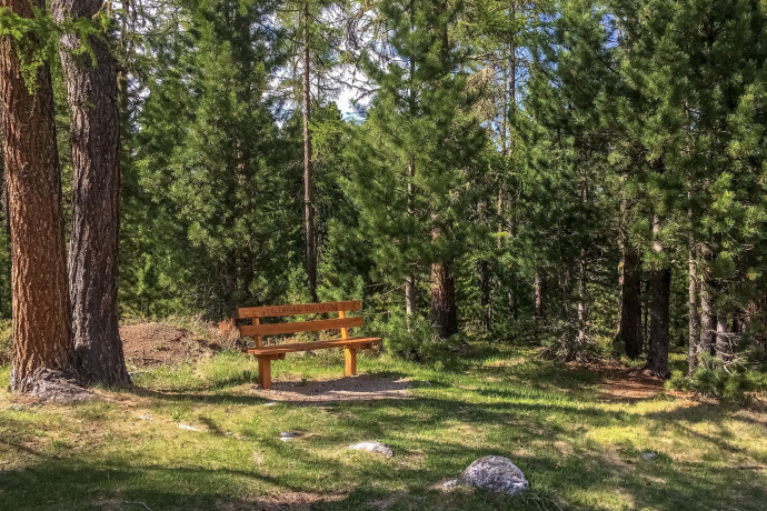 Stazerwald Benches (oua_620279207_image)
