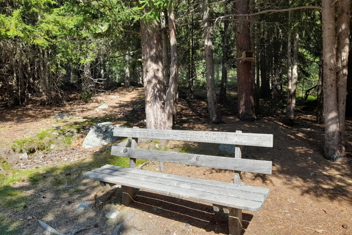 Bancs forêt de Staz (oua_620279208_image)