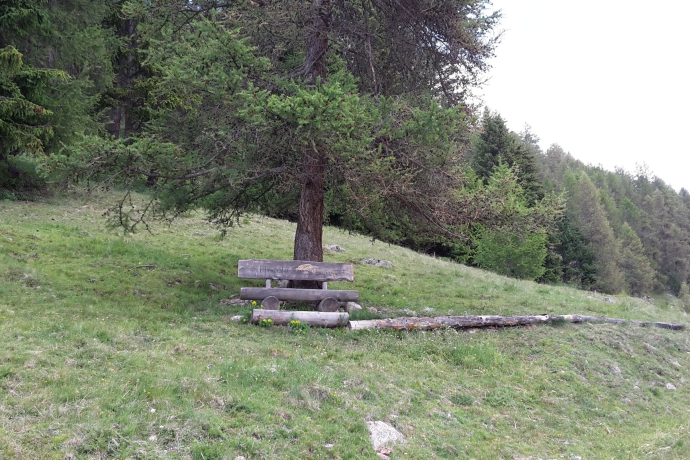 Panchine a Bever (oua_620279242_image)