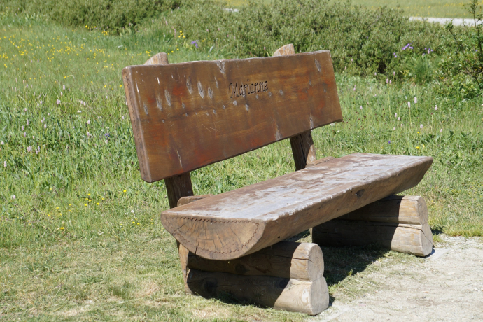Bench on the shore of Lake Silvaplana (oua_620279276_image)