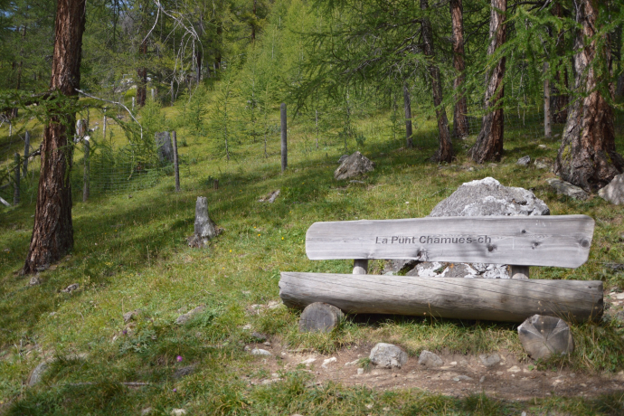 Bench God Arschaida 1 (oua_620279614_image)