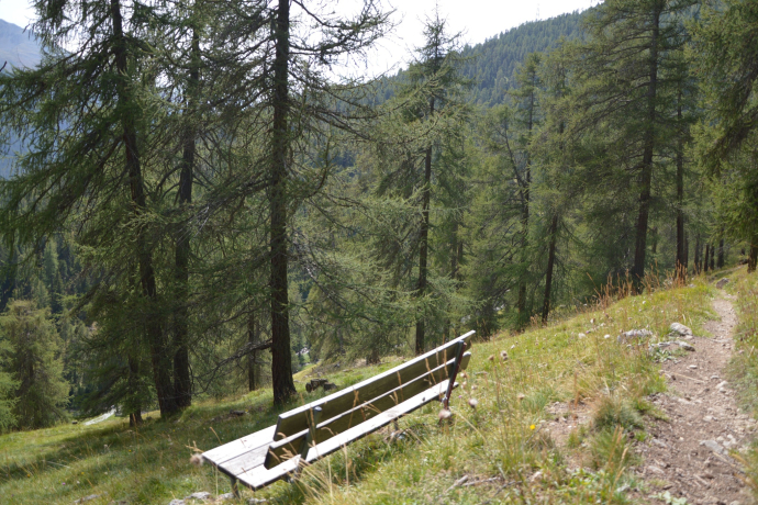 Panchina God Arschaida 2 (oua_620279618_image)