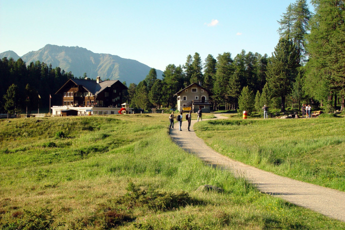 Foresta di Staz (oua_620279663_image)