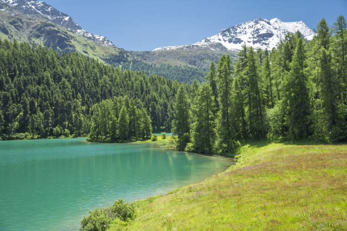 Lej da Champfèr (oua_620279728_image)