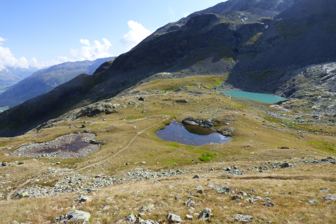Lac de montagne Lej da l'Ova Cotschna (oua_620279822_image)