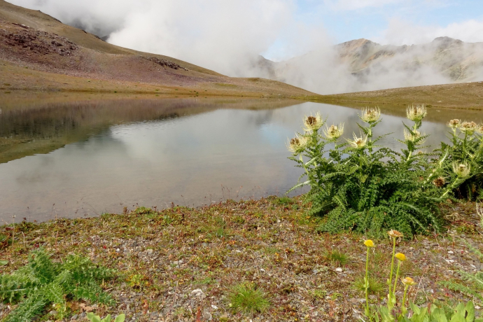 Lej da la Pêsch (oua_620279858_image)