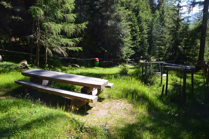 Sentier naturel de la forêt avec foyer (oua_620280061_image)