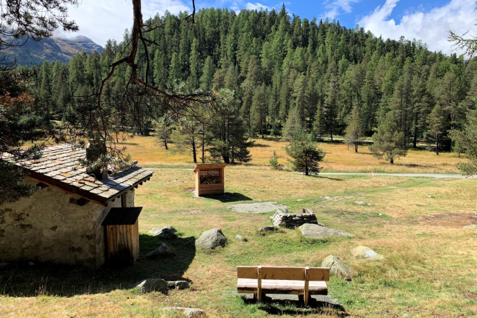 Feuerstelle bei Palüd Chapè (oua_620280466_image)