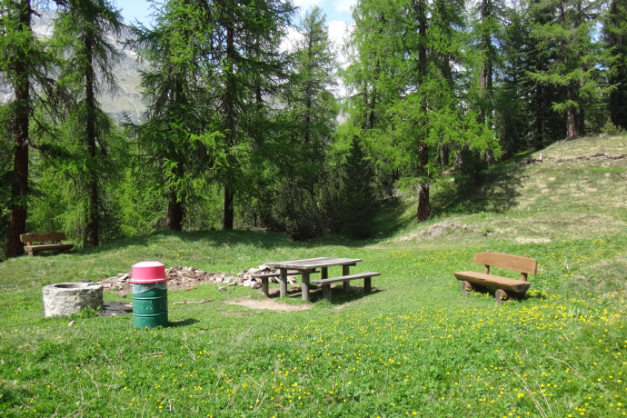 Barbecue all’aperto nella foresta Laret (oua_620280526_image)