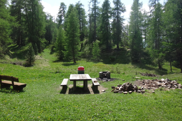 Feuerstelle im Laretwald (oua_620280527_image)