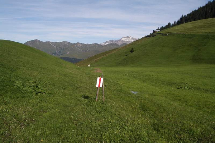 Hochmoor auf Aschüel