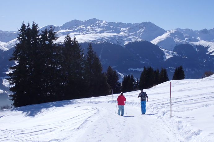 Winterwandern: Alp Dado - Waltensburg (oua_620450279_image)