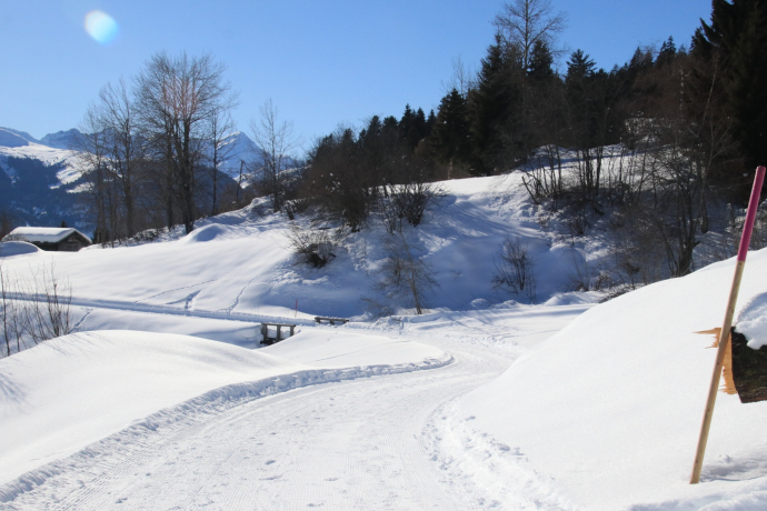 Winterwandern: Alp Dado - Waltensburg (oua_620450280_image)