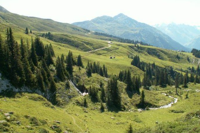 Blick auf die Saaseralp