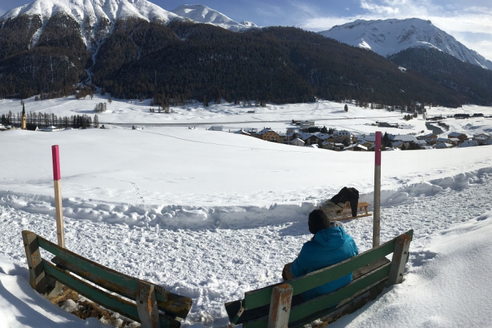 Sitzbank Palüds (oua_621867063_image)