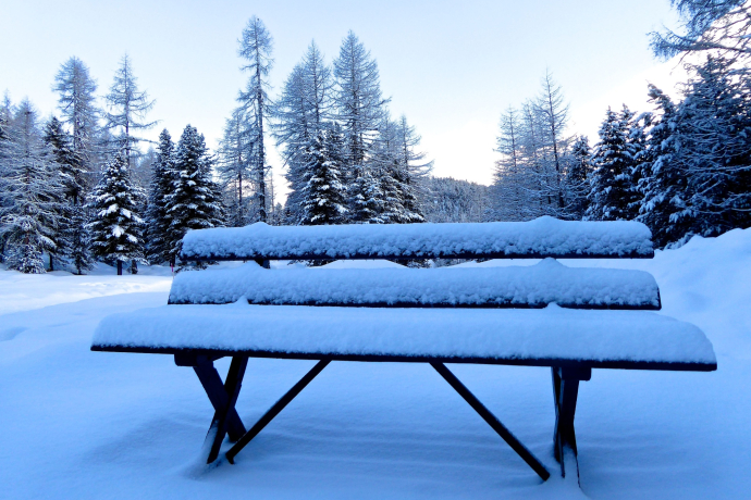 Banc Val Roseg (oua_621867101_image)