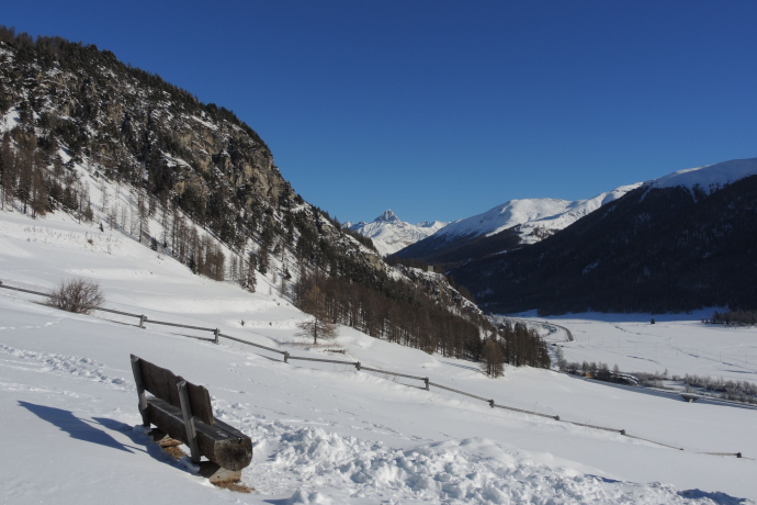 Bench Bannchs (oua_621867121_image)