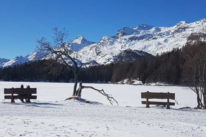 Panchine sulla riva del lago di Sils (oua_621867146_image)