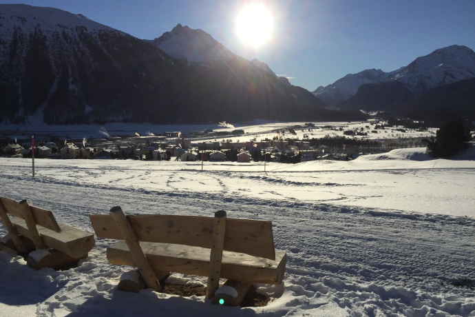 Bancs de Survih (oua_621867175_image)