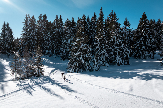 255 Bual Loipe (oua_622361636_image)