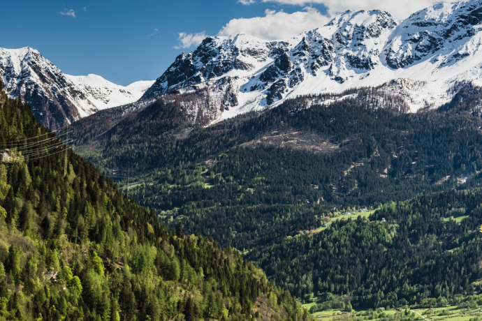 Ciack si gira - Special