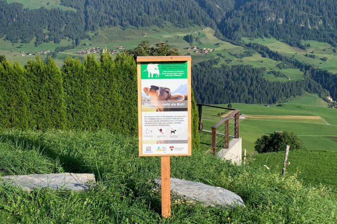 Parcours éducatif "Bovins - plus que des Meuh !", Vella (oua_62409213_image)