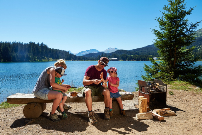 Île de pique-Fire Pit